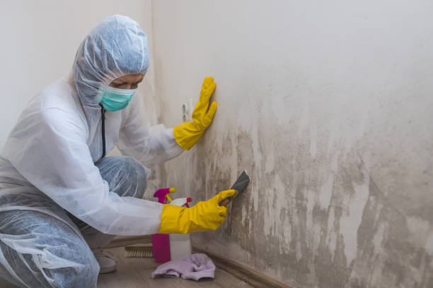 Mold Remediation for Rental Properties in San Joaquin, CA