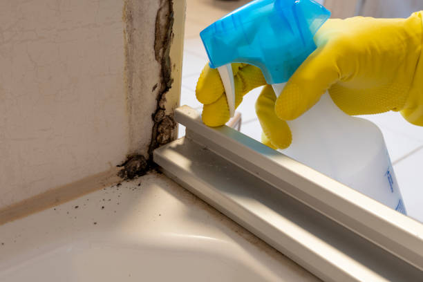 Forensic Mold Investigation in San Joaquin, CA